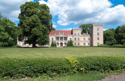 Castello in vendita Gościeszyn, Pałac w Gościeszynie, Grande Polonia, Pałac w Gościeszynie