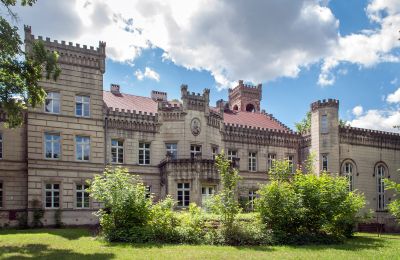 Castello in vendita Gościeszyn, Pałac w Gościeszynie, Grande Polonia, Vista posteriore