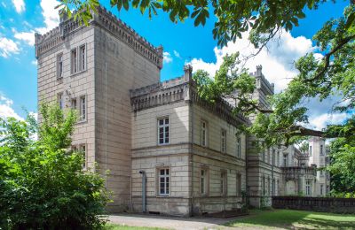 Castello in vendita Gościeszyn, Pałac w Gościeszynie, Grande Polonia, Vista laterale