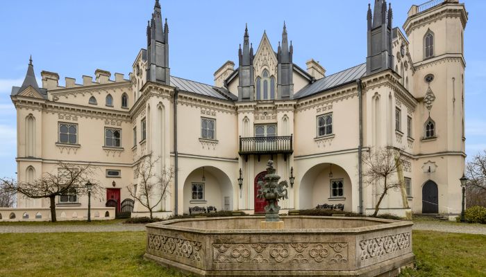 Castello in vendita Patrykozy-Kolonia, Masovia