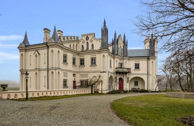 Castello in vendita Patrykozy-Kolonia, Masovia, Foto 2/21