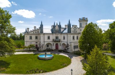 Immobili storici, Il maniero neogotico di Patrykozy - un monumento unico in Mazovia
