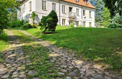 Villa padronale in vendita Dawidy, Dwór w Dawidach, Varmia-Masuria, Vista posteriore