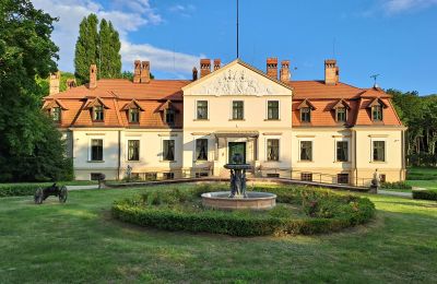 Villa padronale in vendita Dawidy, Dwór w Dawidach, Varmia-Masuria, Neighborhood: Kadyny