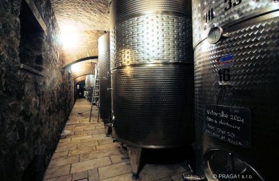Castello in vendita Italia, Foto 18/21