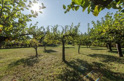 Villa padronale in vendita Trębki Nowe, Masovia, Foto 27/36