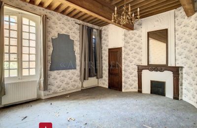 Immobile storico in vendita Bessières, Occitania, Salone