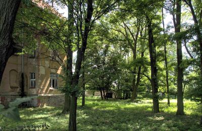 Villa padronale in vendita Udanin, Główna, Bassa Slesia, Parco