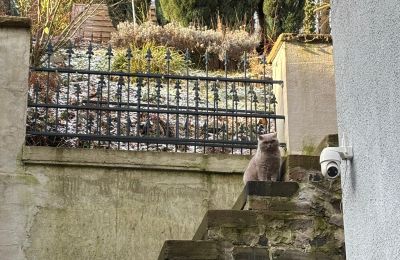 Villa storica in vendita 58762 Altena, Bachstraße 66, Renania Settentrionale-Vestfalia, außentreppe zum Garten