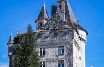 Castello in vendita Loches, Centre-Val de Loire, Torre