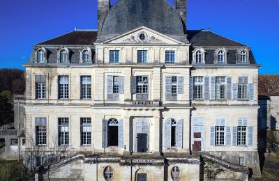 Castello in vendita Loches, Centre-Val de Loire, Vista frontale