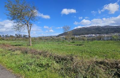 Villa padronale in vendita 36740 Tomiño, Galizia, Foto 16/28