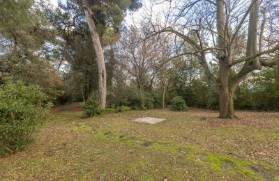 Villa storica in vendita Senigallia, Via Casini-Soccorso 1/A, Marche, Foto 33/39