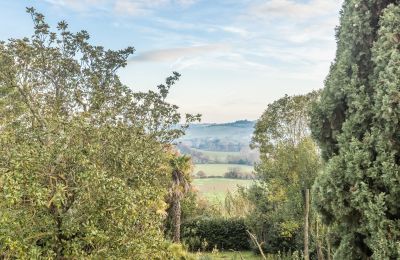 Villa storica in vendita Senigallia, Via Casini-Soccorso 1/A, Marche, Giardino