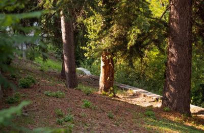 Villa storica in vendita Bosia, Via Rutte  2, Piemonte, Foto 36/47