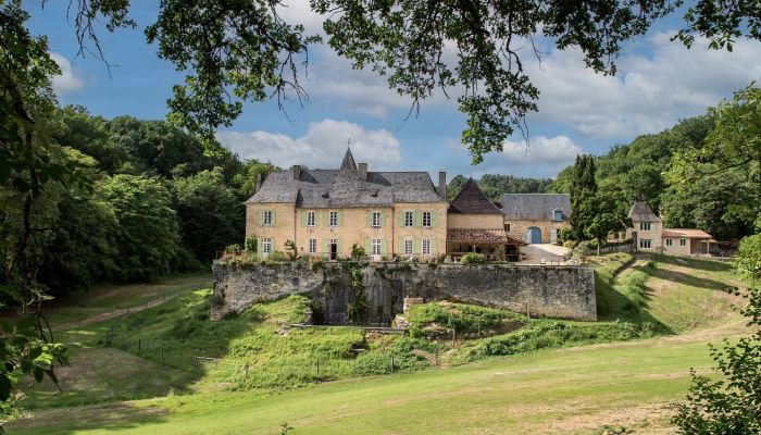 Castello in vendita Nuova Aquitania,  Francia