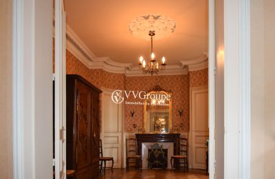 Villa storica in vendita Angoulême, Nuova Aquitania, Salone
