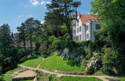 Immobili di carattere, Villa storica con vista mozzafiato sul Lago di Bienne e giardino privato in Svizzera