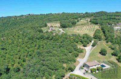 Casa di campagna in vendita 06060 Lisciano Niccone, Umbria, Foto 20/48