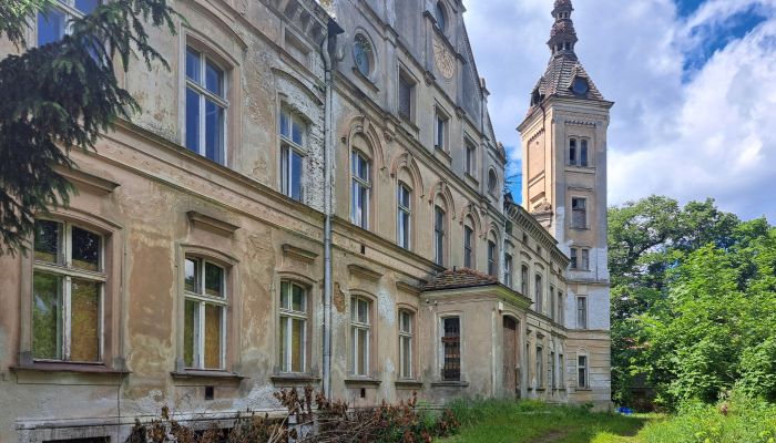 Castello in vendita Jędrzychów, Bassa Slesia,  Polonia