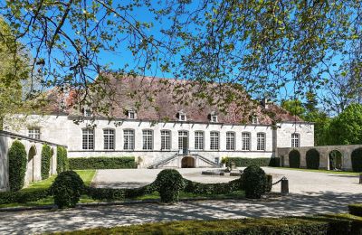 Villa padronale in vendita Chaumont, Grand-Est, Giardino
