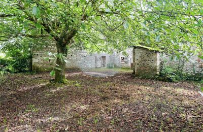 Immobile storico in vendita Nay, Nuova Aquitania, Giardino