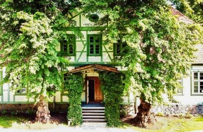 Castello in vendita Neustadt-Glewe, Mecklenburg-Vorpommern, Vista posteriore