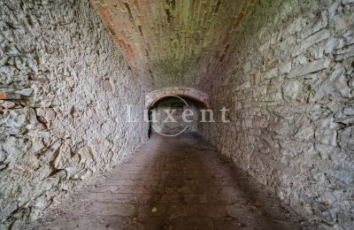 Castello in vendita Vršovice, Zámek Vršovice, okres Louny, Foto 11/35