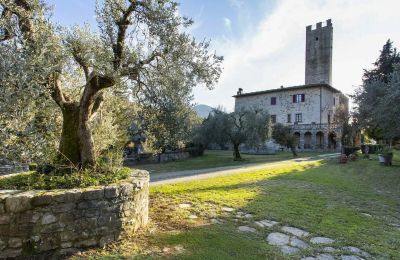 Castello medievale in vendita Croci di Calenzano, Toscana, Giardino