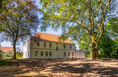 Castello in vendita Środa Śląska, Pałac w Wojczycach, Bassa Slesia, Foto 4/23