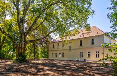 Castello in vendita Środa Śląska, Pałac w Wojczycach, Bassa Slesia, Foto 5/23