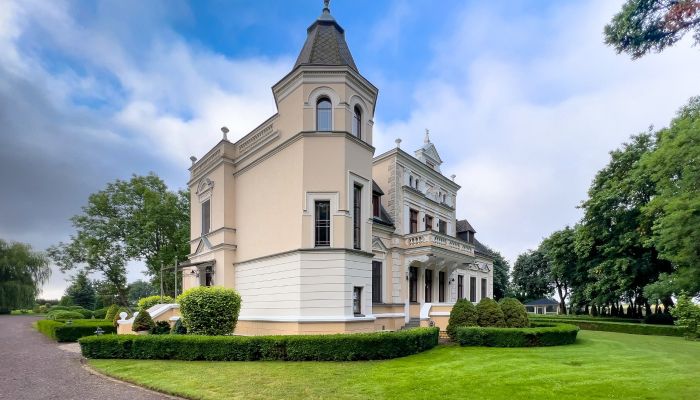  Brodnica 5