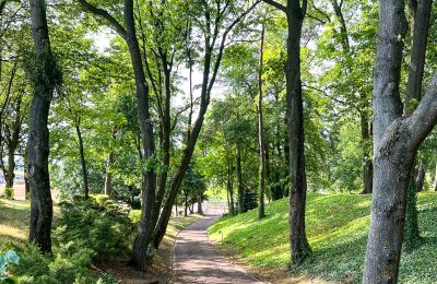 Dimora signorile in vendita Kujavie-Pomerania, Parco