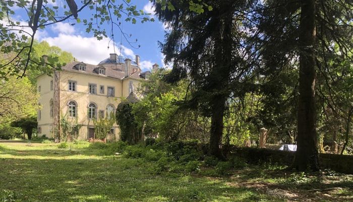 Castello in vendita Pontacq, Nuova Aquitania,  Francia