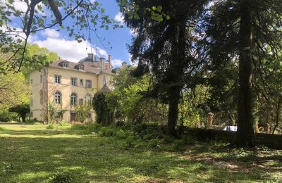 Immobili storici, Château du 19ème siècle de 750 m2 à restaurer sur 33 hect, rivière secteur Béarn