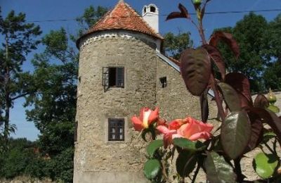 Villa padronale in vendita Trnavský kraj, okres Hlohovec, Koplotovce, Frídeský kaštieľ, Regione di Trnava, Bašta