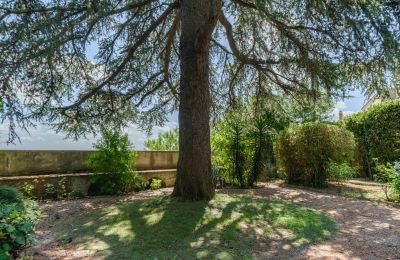 Villa storica in vendita Montecalvoli, Toscana, Foto 35/44