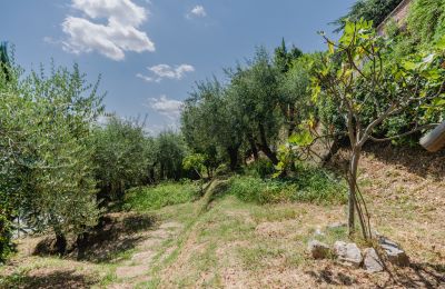 Villa storica in vendita Montecalvoli, Toscana, Foto 37/44