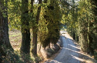 Villa storica in vendita Torrenieri, Toscana, Vialetto