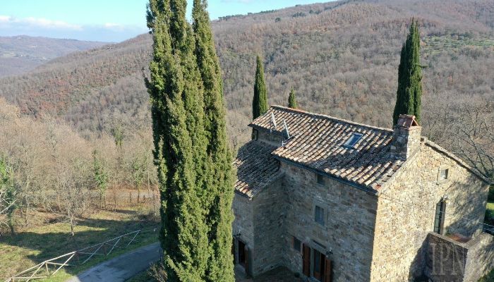  Cortona 2