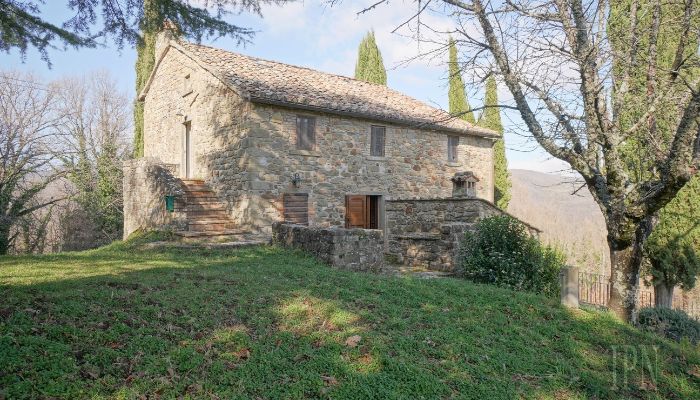  Cortona 3