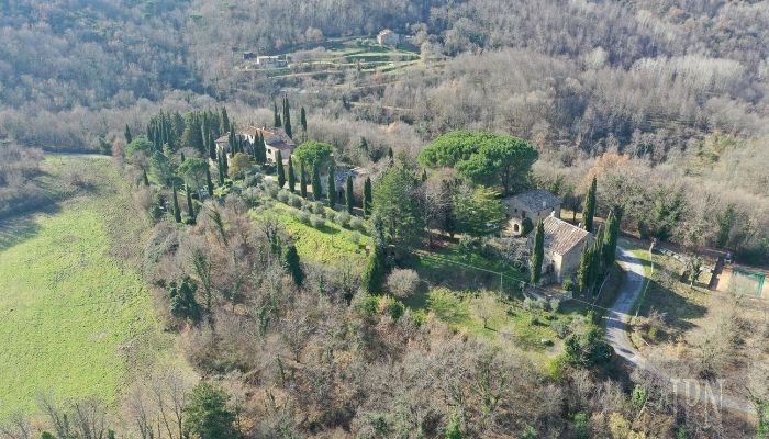  Cortona 5