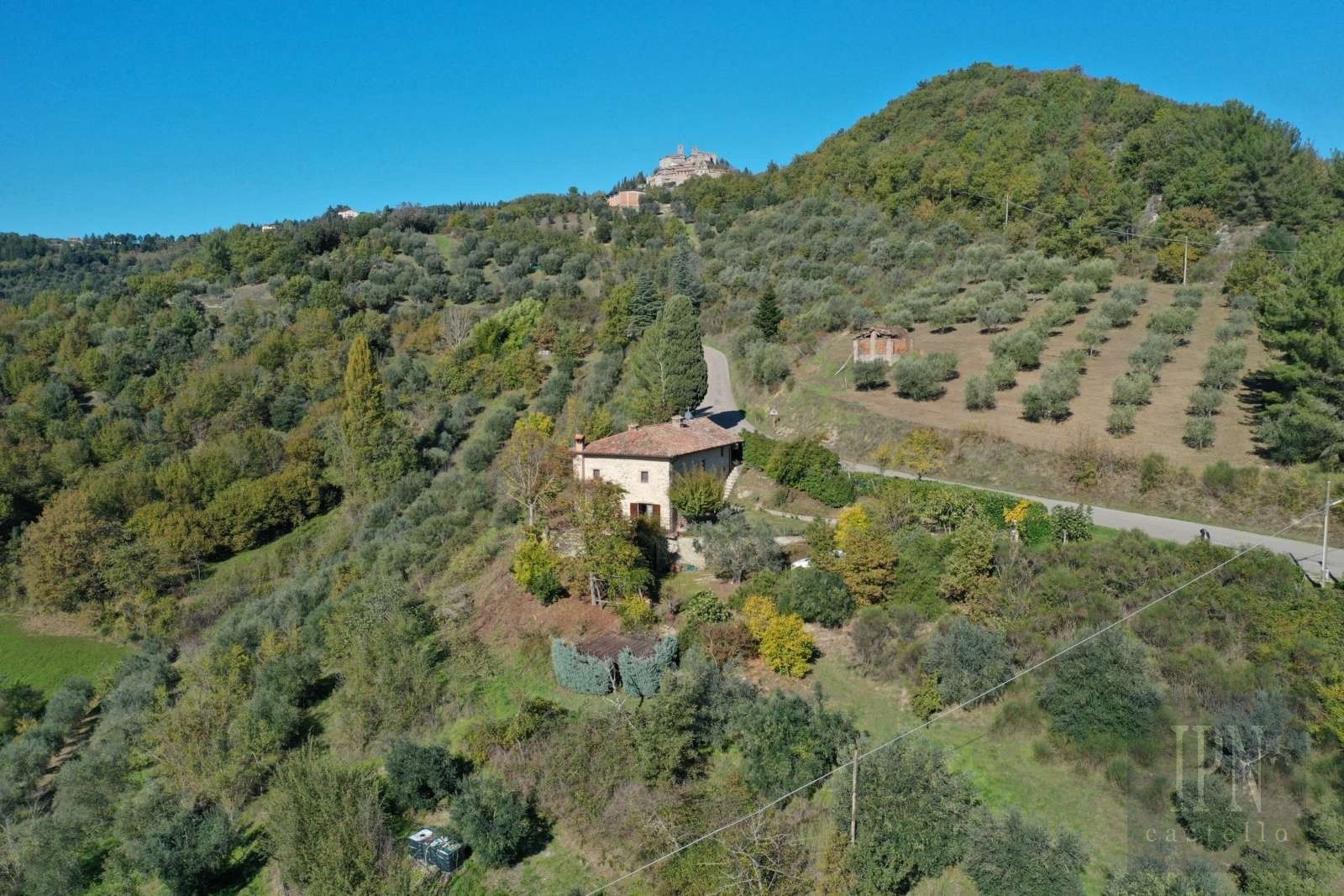 Immagini Terrace Valley View - Farmhouse in Monte Santa Maria Tiberina