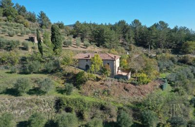 Casa di campagna in vendita 06010 Monte Santa Maria Tiberina, Umbria, Foto 4/28