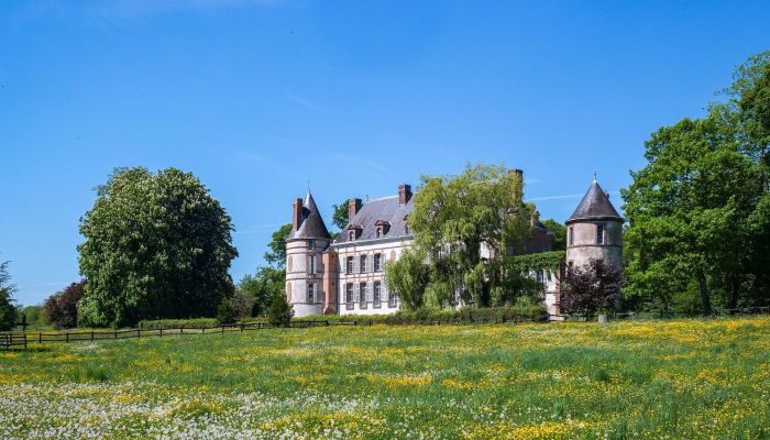 Castello in vendita Sens, Bourgogne-Franche-Comté,  Francia