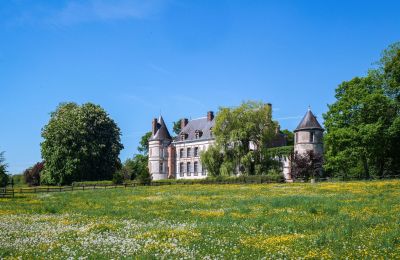 Castello in vendita Sens, Bourgogne-Franche-Comté, Parco
