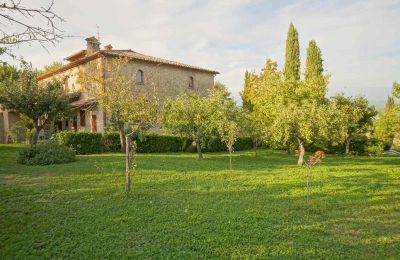 Casa di campagna in vendita Lerchi, Umbria, Foto 10/35