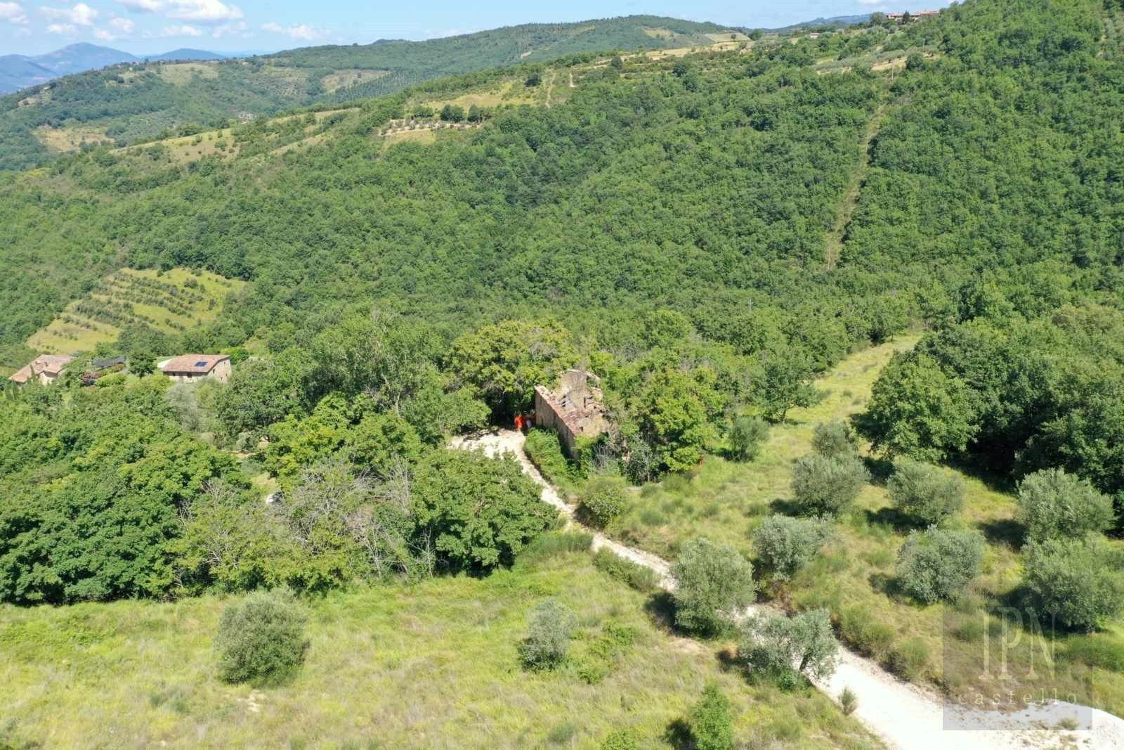 Immagini Fratticciola Project
