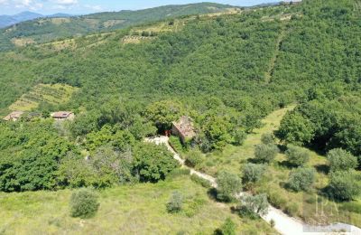 Immobili di carattere, Fratticciola Project