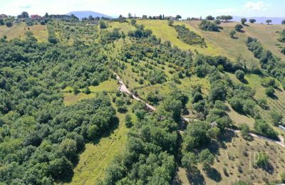 Casa di campagna in vendita Perugia, Umbria, Foto 6/23